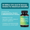 thumbnail image 2 of Probiotics & Prebiotics Supplement - 50 Billion CFU - for Men & Women's Immune & Digestive Health - 16 Strains - Shelf Stable - 60 Delayed Release Veggie Capsules, 2 of 5