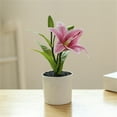 Artificial Flowers Lily Plant Small Bonsai (With Plastic Pot) Exquisite