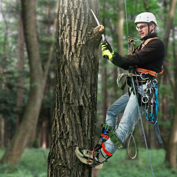 Tree Climbing Gear with Stainless Steel Spikes, Safety Belt & Rope, Easy to Use for Outdoor Activities, Mountaineering, Fruit Picking, and More
