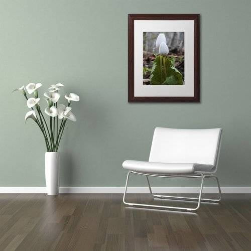 "Bloodroot Wildflower" Canvas Art by Kurt Shaffer, White Matte, Wood Frame