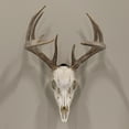 thumbnail image 2 of Allen Company Ez Mount Skull Peg Hook, Matte Black, Steel, Screw-In, Easy Installation, Interior Mount, 2 of 7