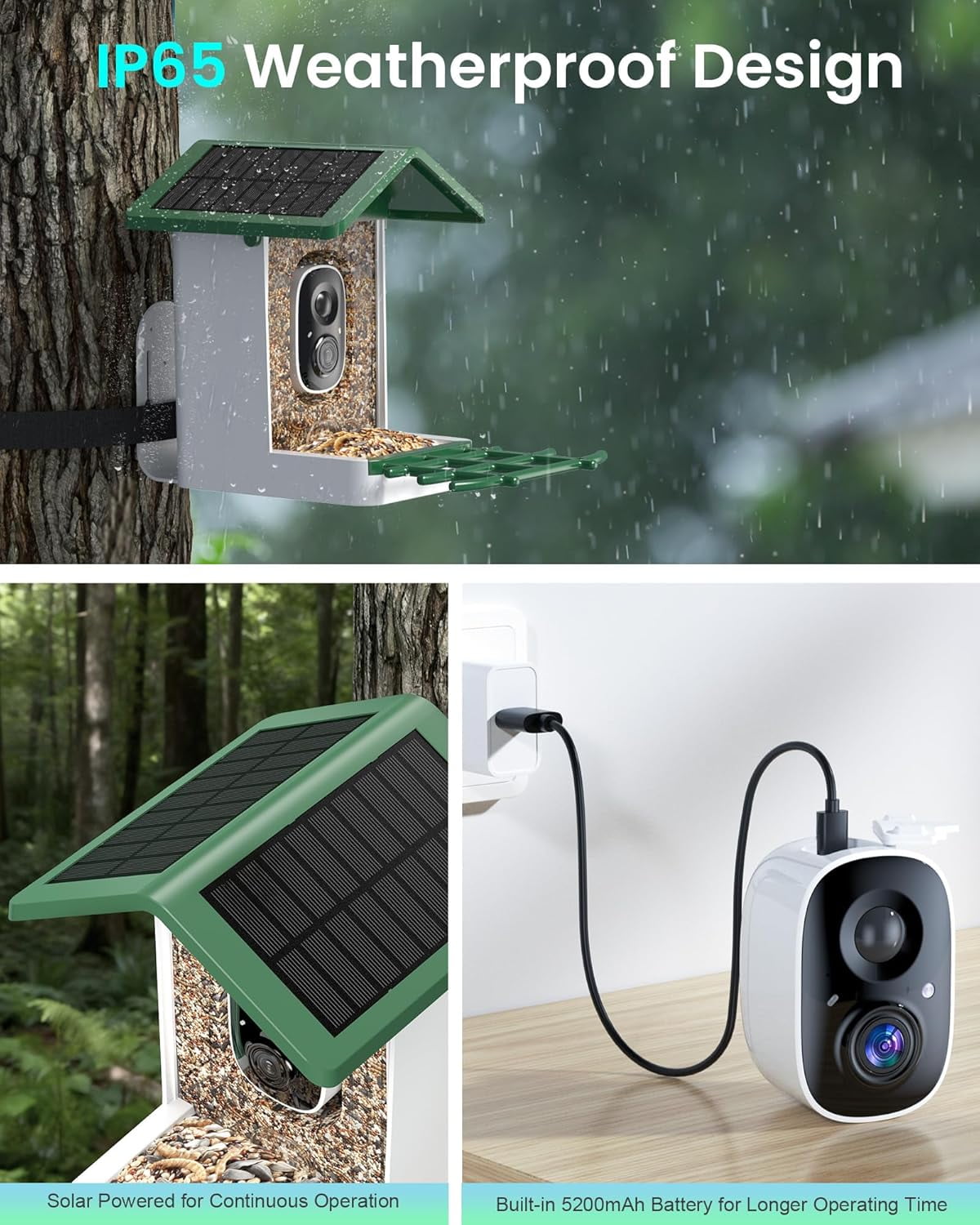 isYoung Smart Bird Feeder with Camera, 2.5K QHD, AI Identify 16000+ Birds,Dual Solar Panel, AI Auto-Capture & Motion Detection, IP65 Weatherproof,170° Field of View, Perfect Bird Watching Gift