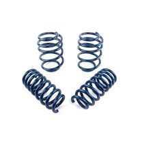 Dinan D100-0935 Performance Coil Spring Set