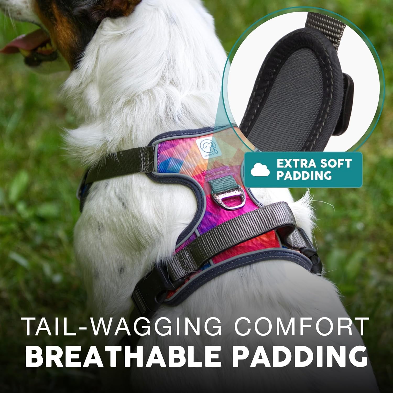 Embark Urban Dog Harness, No-Pull Reflective Trim Dog Harness for Small, Medium & Large Dogs - Heavy Duty Oxford, 2 Leash Clips & Gel Lined Handle. Soft & Padded Puppy Dog Vest for Any Breed
