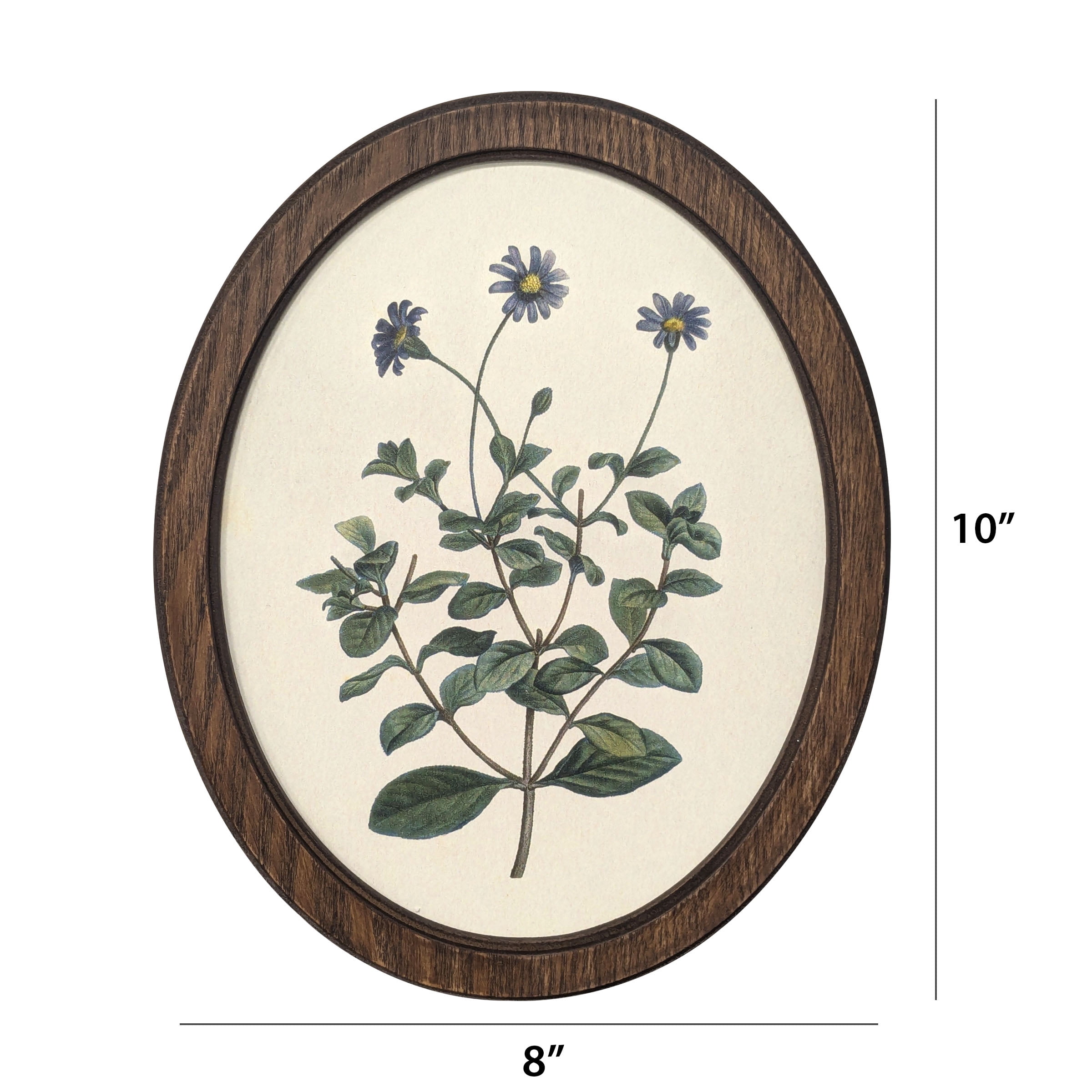 Bradley & Ballard Heirloom Botanical Oval Framed Wall Art Set, 2 Pieces, 8x10 Inches