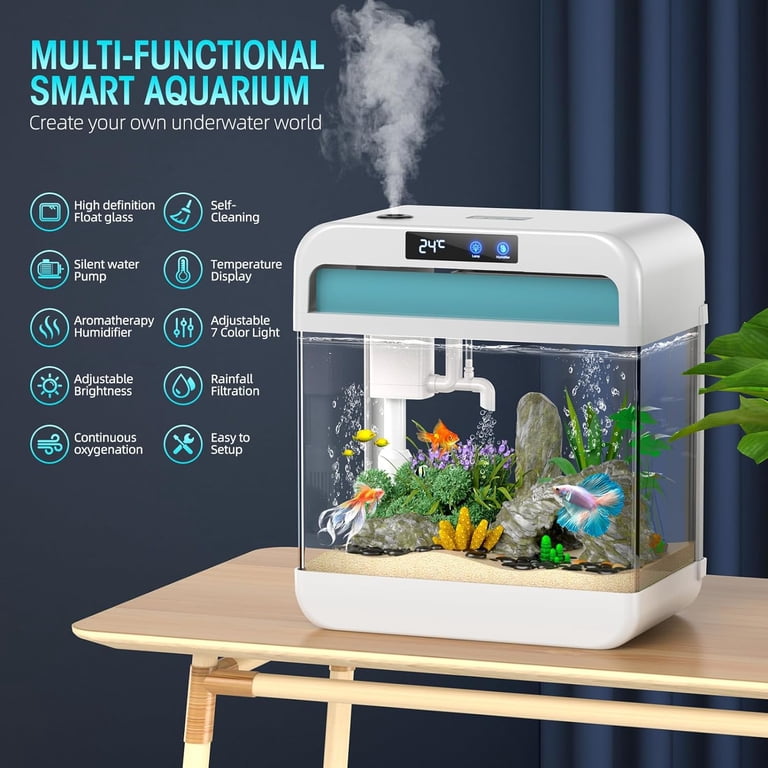 Mini Fish Tank 1 Gallon With LED Lights & Filter | Small Aquarium For ...