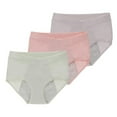 thumbnail image 1 of 3Pcs Women Panties,Menstrual Period Leak-proof Underpants,Postpartum Panties,Stretch Briefs,V-shaped Waist Briefs,Full Coverage Sanitary Pants,Breathable Cotton Panties, 1 of 9