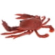 thumbnail image 4 of 2pcs Juguetes Granja Selva Mar Cangrejo Rojo Yotijar Figura animal juguete, 4 of 10