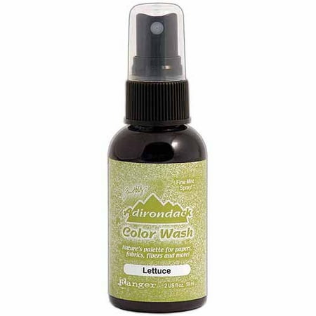 Adirondack Color Wash Dye 2 Ounce Spray-Lettuce