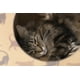 thumbnail image 3 of Cat lounge y casa para gato de cartón - 2 PACK / Kit de 2 piezas para ti que tienes varios gatos! CARTOGRAPHIC GRANDE, 3 of 4