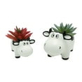 thumbnail image 5 of rygai Cow-Shaped Resin Planter - Hand-Painted Succulent Pot with Whimsical Design, Durable Weatherproof Flower Pot for Cactus, Mini Plants, and Home Decor, 5 of 8