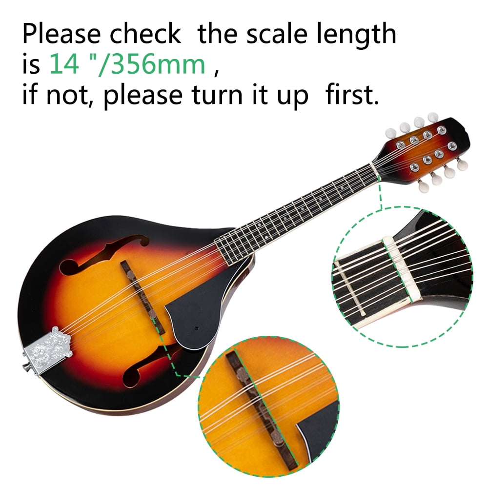Mandolin with Guard Board Sunset