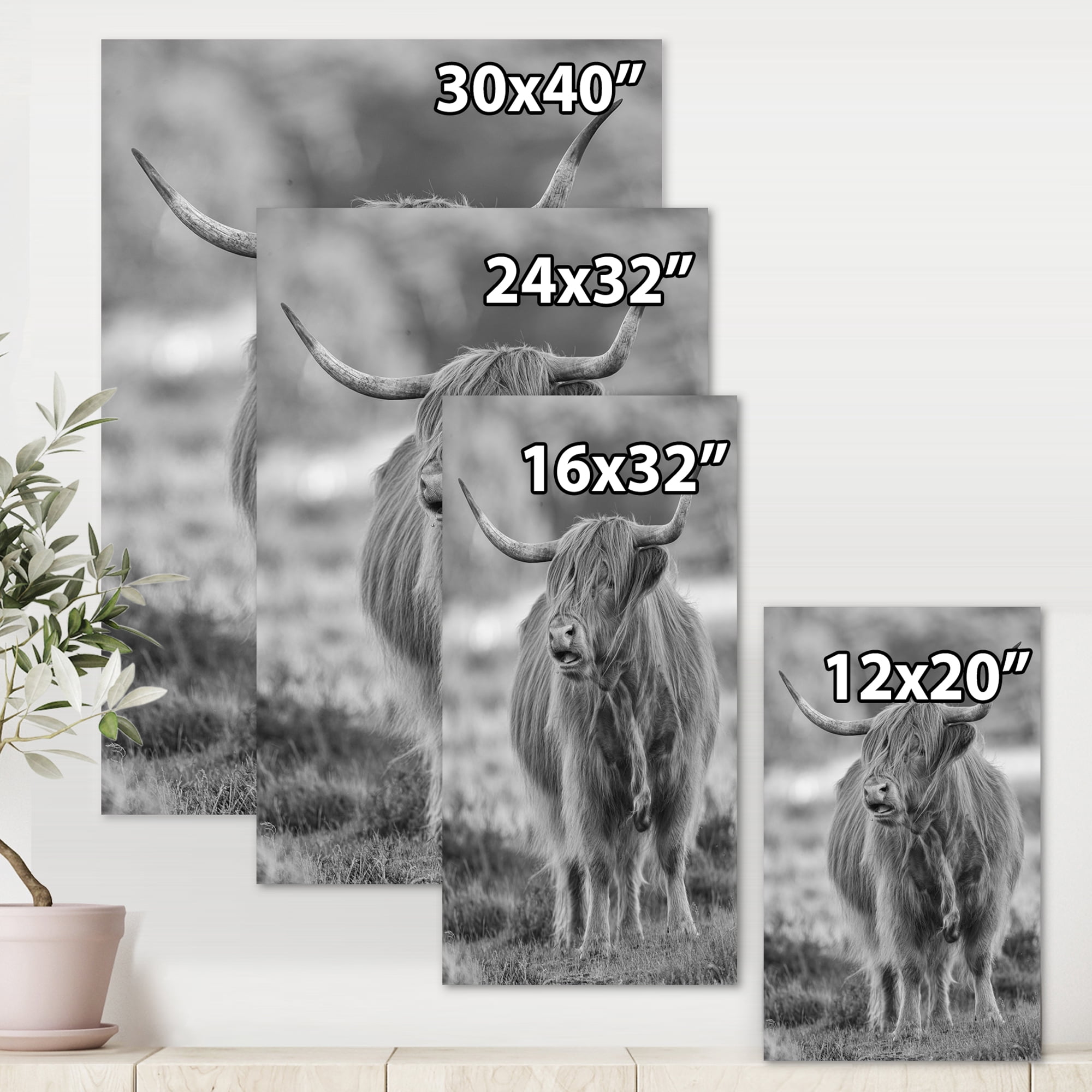Designart ' Close Up View of Monochrome Bull ' Farmhouse Canvas Wall Art Print