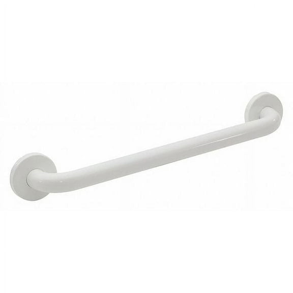 Polyester Painted Premium Grab Bar, 24" L, Stainless Steel, Polyester Painted
