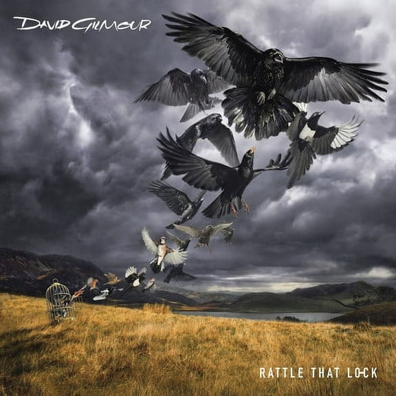 David Gilmour - Rattle That Lock [CD/DVD] [Deluxe Edition] [Box Set] - Music & Performance - CD
