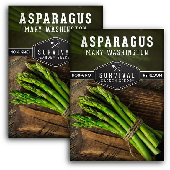 2 Packs Mary Washington Asparagus - Non-GMO Heirloom Vegetable Seeds - Full Sun Perennial