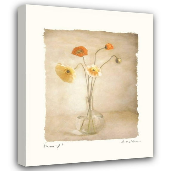 Amy Melious 26x32 Gallery Wrapped Canvas Wall Art Titled - Harmony I