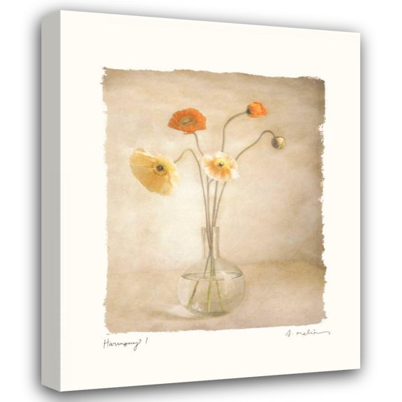 Amy Melious 15x18 Gallery Wrapped Canvas Wall Art Titled - Harmony I