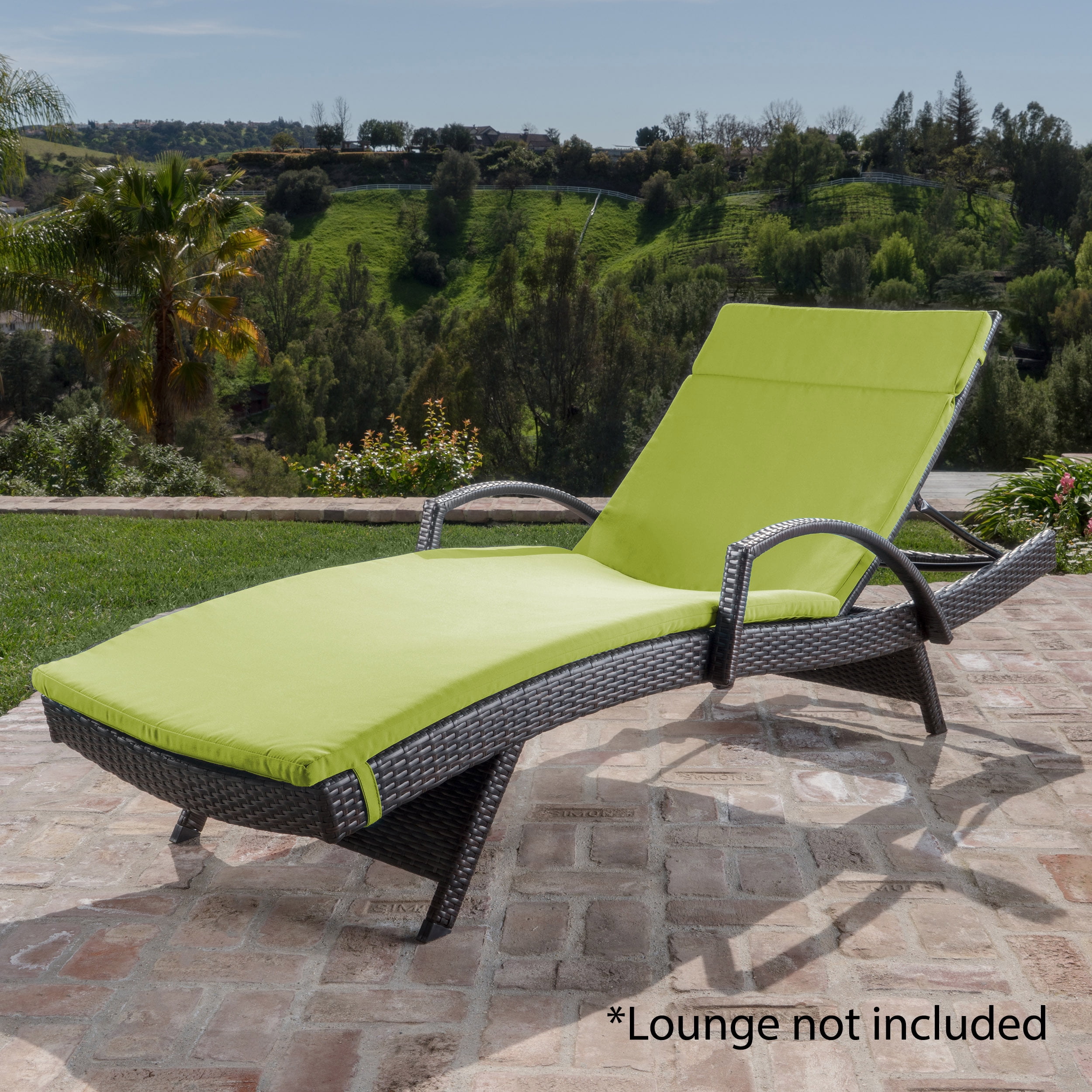 Anthony Outdoor Chaise Lounge Cushion, Green