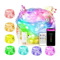 66-light 33ft. Outdoor USB or Battery Operated Integrated LED Fairy String Light-App Control Music Sync Twinkle Light