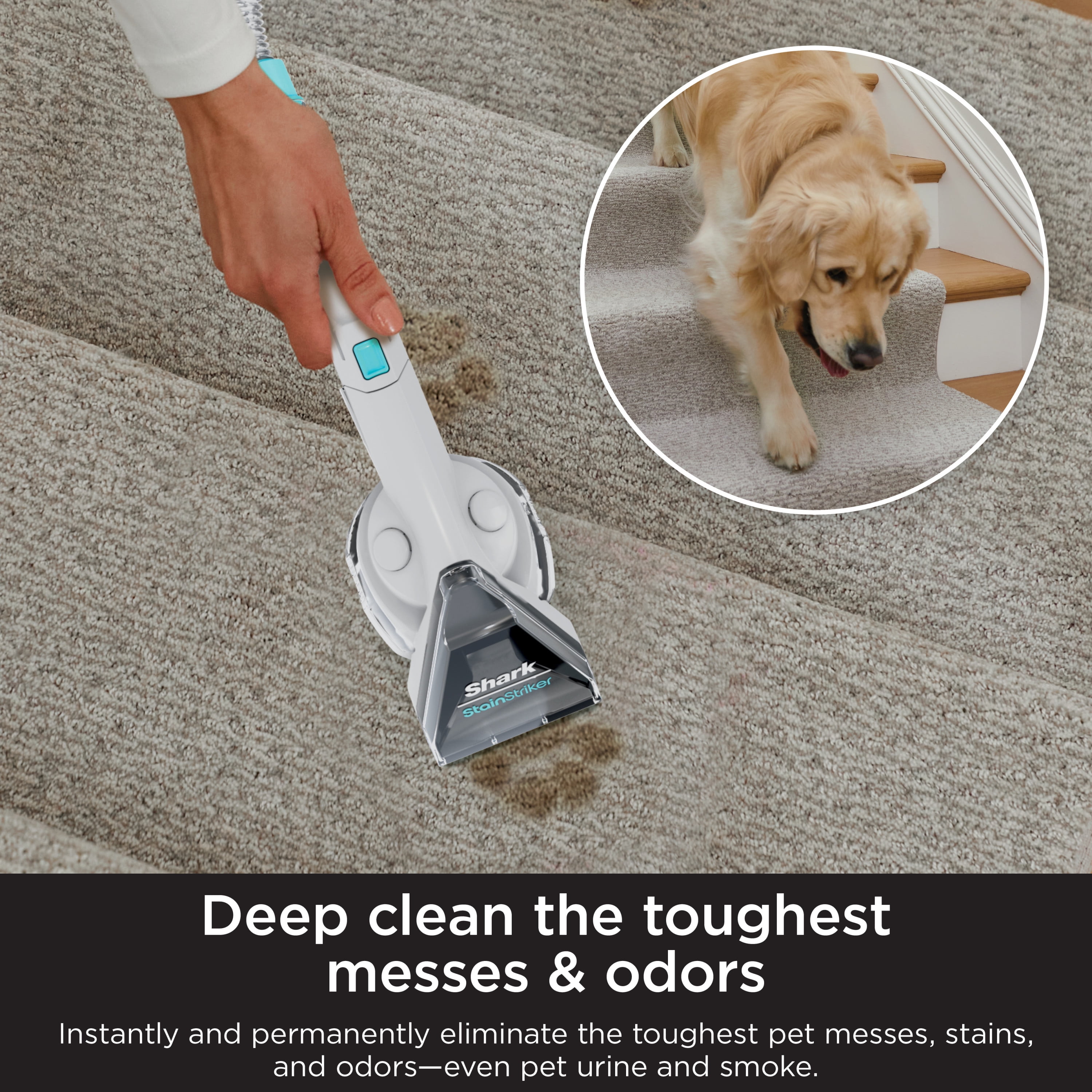 Shark Carpetxpert Deep Carpet Cleaner : Target