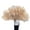 Champagne, variant on Large 13 Bone Fuffly Ostrich Feathers Fans 100CM 130CM Handheld Plumes Fan For Wedding Party Stage Performance