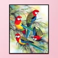 thumbnail image 2 of Cuadros Decorativos 11CT impreso completo bordado cuatro loro costura DIY algodón arte Craft Kit Ehuebsd Nuevos Originales, 2 of 8