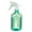 Mint Green, variant on UDIYO 2Pcs Driew Plant Mister Spray Bottle, 500ml Plant Spray Bottle for Plants Misting Bottle Plant Water Spray Bottle Fine Mist Spray Bottle (Five colors)