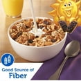 thumbnail image 6 of Kellogg's Raisin Bran Crunch Breakfast Cereal, Family Breakfast, Fiber Cereal, Original, 15.9oz Box (1 Box), 6 of 15