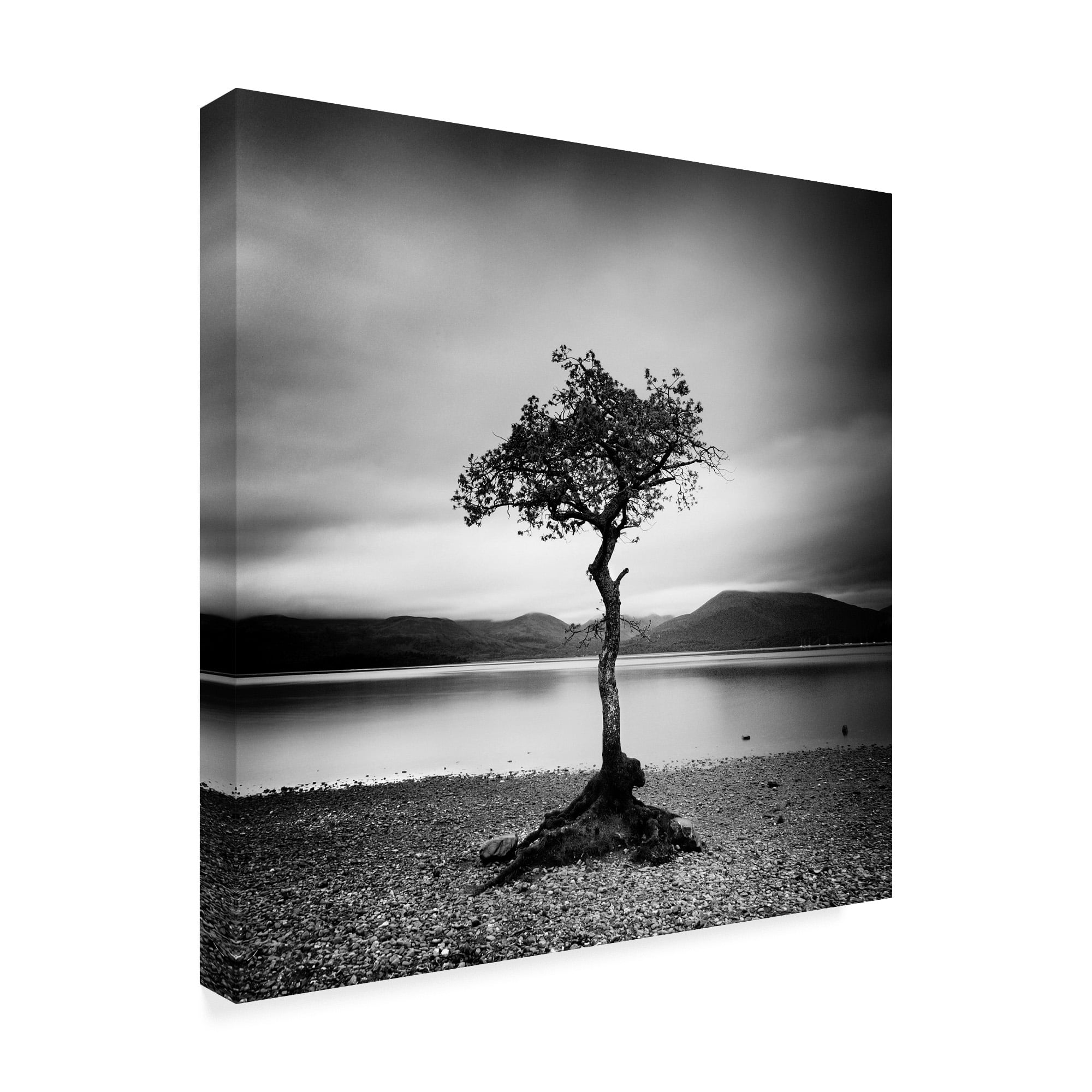 Trademark Fine Art 'Millarrochy Tree' Canvas Art by Nina Papiorek