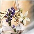 thumbnail image 2 of Perfume YVES SAINT LAURENT Libre Eau De Parfum para mujer 10 ml, 2 of 2