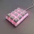 thumbnail image 4 of 12 Touches Clavier à une Main, Anti Glissement ABS USB Mini Macro Clavier de Jeu Mécanique Interrupteur Rouge pour un Usage Industriel, 4 of 7