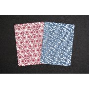 DeLands Nifty Deck (Centennial Edition) 2 Pack Box Set by Phill Smith