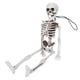 thumbnail image 3 of Esqueletos de cuerpo completo de resina de Halloween con articulaciones móviles para accesorios de decoración de fiesta de disfraces para el hogar, 3 of 10
