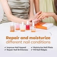 thumbnail image 5 of modelones Nail Strengthener, 8-in-One Nail Ridge Filler Base Coat Nail Polish Repair Nail Growth Treatment for Thin and Damaged Nails, Sparkling Champagne, 15ml, 5 of 10
