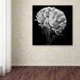 thumbnail image 4 of Trademark Fine Art "Mum II" Canvas Art by Michael Harrison, 4 of 4