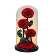 thumbnail image 2 of Rosa Eterna en Cúpula de Cristal BLESIY Regalos del Día de San Valentín, 2 of 8