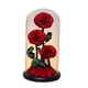 thumbnail image 2 of Regalos del Día de San Valentín Macarena Rosa eterna en cúpula de cristal, 2 of 8