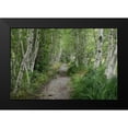 thumbnail image 2 of Head, Danny 24x17 Black Modern Framed Museum Art Print Titled - Summer Path III, 2 of 5