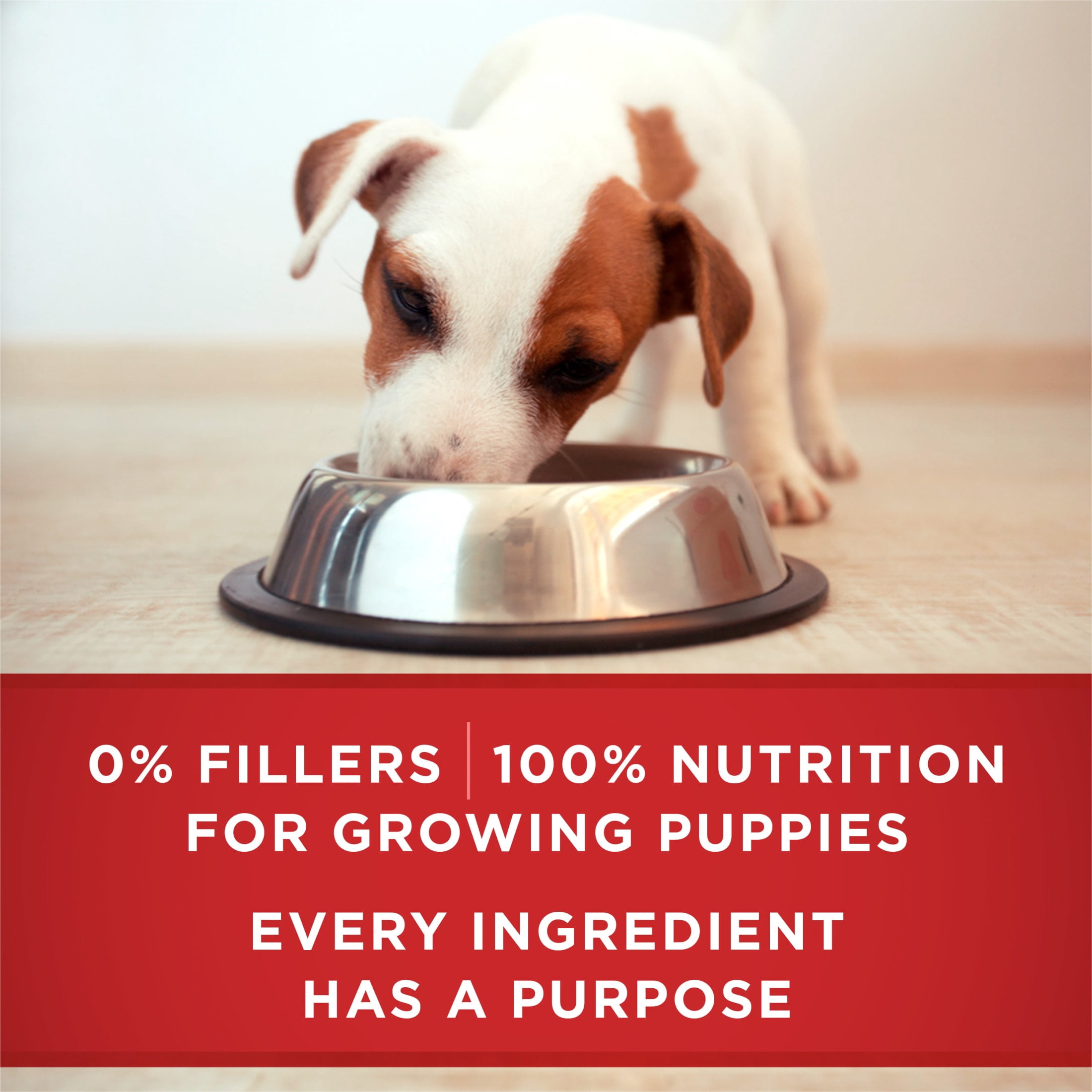Purina ONE PLUS Wet Puppy Food, High Protein Soft Lamb & Long Grain Rice, 13 oz Can