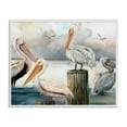 thumbnail image 5 of Stupell Industries Pelicans Perched Cloudy Horizon Coastal Painting White Framed Art Print Wall Art, 5 of 5