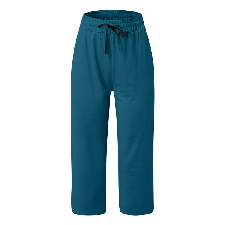 Style & Co Womens Petite Pull-On Capri Pants (14 Petite, New Uniform Blue)