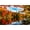 Autumn Lake, variant on Springbok 500 Piece Fall Wagon Wonders Jigsaw Puzzle for Adults