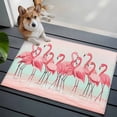 thumbnail image 4 of Pink Flamingo Area Rugs 2x3 for Living Room, Summer Tropical Flamingo Hawaii Animals Non Slip Washable Rug Runner, Low Pile Indoor Floor Carpet Mat Bathroom Rugs for Bedroom, Kids Room, 4 of 9