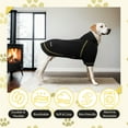 thumbnail image 4 of Kickred Basic Dog Hoodie Sweatshirts, Pet Clothes Hoodies Sweater with Hat and Leash Hole, Soft Cotton Outfit Coat for Large Medium Small Dogs(XL, Black), 4 of 7