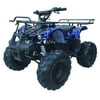 Coolster 125cc ATV 3125XR8-S (Semi-Auto)