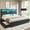 Black&King Size, variant on California King Bed Frame with 4 Storage Drawers&Bookcase Headboard, Black Platform Bed Frame with Charging Station and LED Lights, Modern Storage Beds, No Noise, Black