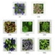 thumbnail image 4 of La simulación artificial planta el colgante de pared 3D/el escritorio florece el marco de la foto de las plantas falsas para el hogar, 4 of 8