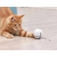 thumbnail image 5 of Juguete para gatos de interior, pelota interactiva automática de 360 grados con rotación automática de 360 grados, pelota traviesa recargable por USB con flash LED y hierba gatera incorporada., 5 of 5