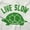 White, variant on Live Slow Turtle Tortoise Animals Hoodie Sweatshirt Women Men Brisco Brands S